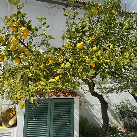 Βίλα Casa Mira Olivenza
