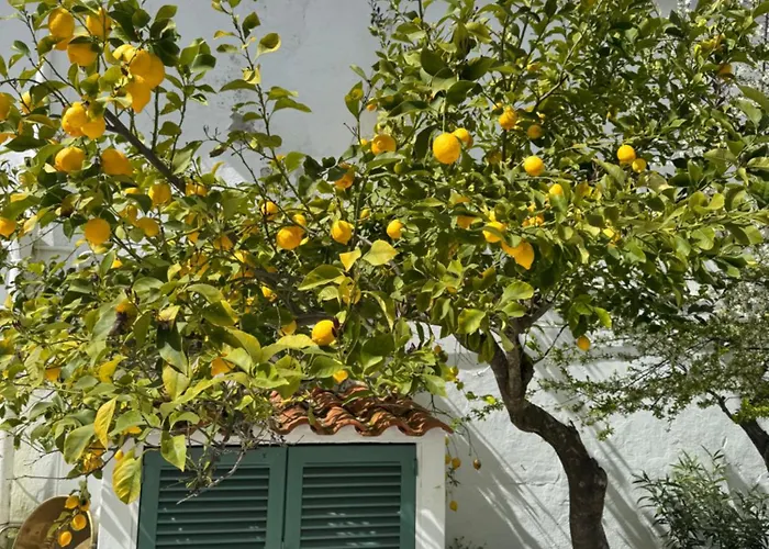 Villa Casa Mira Olivenza